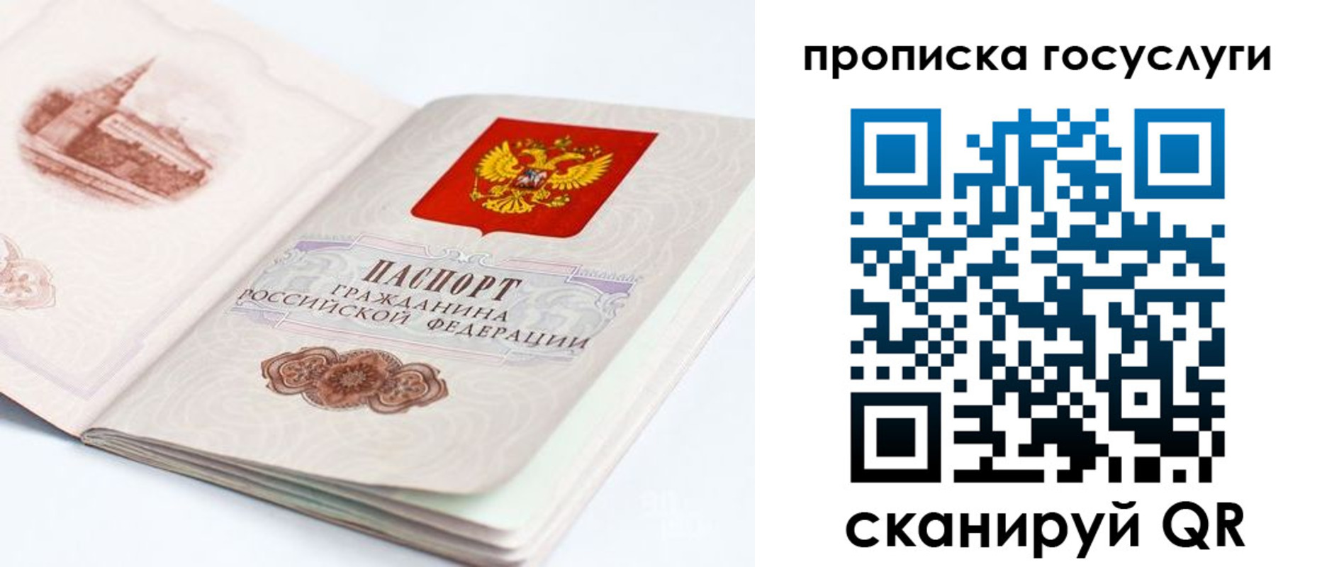временная регистрация в Дрезне